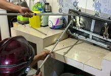 Damkar Samarinda Imbau Warga Tak Tangani Ular secara Mandiri Demi Keselamatan