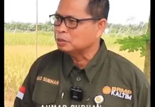 BRMP Kalimantan Timur Perkuat Ketersediaan Benih Bersertifikat
