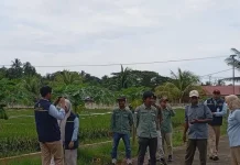 OIKN Gandeng KP Samboja Perkuat Ketahanan Pangan Melalui Benih Unggul
