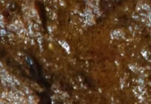 Resep Bistik Daging Sapi Khas Solo Ala Rumahan