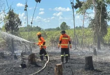 Karhutla Seluas Satu Hektare Terjadi di Muara Kaman Kukar