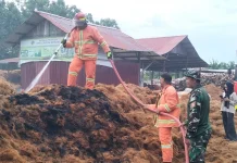 Kebakaran Limbah Sabut Kelapa di Penajam Berhasil Dipadamkan Tim Gabungan