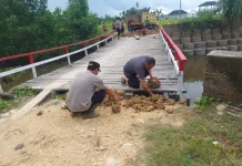 Peresmian Jembatan Merah Putih Dorong Aktivitas Warga Talisayan