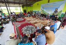 IKN Kembangkan Pertanian Regeneratif lewat Panen Padi Gogo