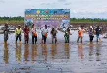 Dari Paser untuk Negeri: Tanam Serempak Perkuat Komitmen Ketahanan Pangan