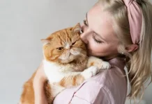 Unik, di Kanada Peluk Kucing 4 Jam di Gaji 162 Juta