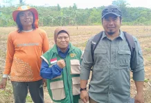 Petani Makroman Butuh Pendampingan Khusus Budidaya Cabai
