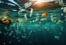 Limbah Plastik Laut Picu Gangguan Sistem Imun
