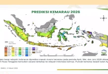 Antisipasi El Nino, Kaltim Diminta Percepat Penanaman