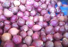 BI Kaltim Soroti Harga Beras dan Bawang Merah di Atas Nasional