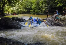 Atlet Arung Jeram Paser Jalani Latihan Intensif di Sungai Desa Rantau Buta