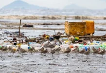 DLH Makassar Siapkan Perahu Atasi Masalah Sampah Laut Pantai Losari