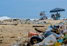Bulan Cinta Laut Dorong Target Indonesia Bebas Sampah Plastik 2040