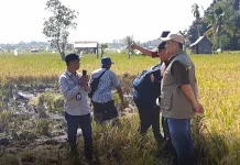 Petani Kecamatan Sambutan Samarinda Khawatir Kekurangan Air Irigasi