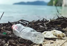 Sampah Laut Didominasi dari Daratan, Edukasi Terus Digencarkan
