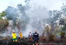 BPBD Samarinda Imbau Warga Antisipasi Kebakaran saat Kemarau