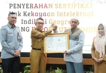 Pisang Kepok Kutim Resmi Kantongi Sertifikat Indikasi Geografis