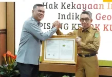 Sertifikat Indikasi Geografis Dongkrak Nilai Ekonomi Pisang Kepok Kutim