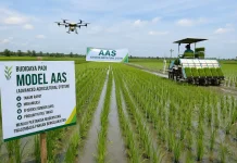 Dari Arkansas ke Indonesia, AAS Hadirkan Sistem Tanam Padi Modern