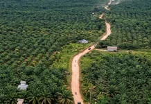Bupati Kukar Tinjau Jalan Strategis Penghubung Wilayah