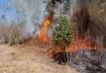 BPBD Paser Intensifkan Sosialisasi Cegah Karhutla Musim Kemarau