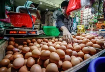 IKN Dorong Lonjakan Permintaan Pangan Daging dan Telur Kaltim
