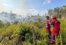 Kebakaran Lahan 1 Hektare di Senaken, Api Sempat Mendekati Permukiman