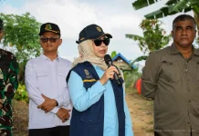 Kerusakan Tahura Bukit Soeharto, Deputi OIKN: Penegakan Hukum Tak Bisa Ditawar