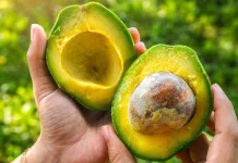 Tujuh Manfaat Buah Alpukat untuk Kesehatan