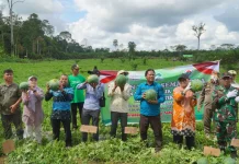 Panen Raya Semangka di Kampung Dumaring Berau Hasilkan 20 Ton, Dorong Ekonomi Warga