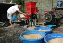 Pakan Mahal Ancam Budidaya Ikan, DKP Kaltim Dorong Pakan Mandiri