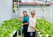 Rukun Tetangga di Balikpapan: Belajar Botani lewat Barcode di Halaman Rumah