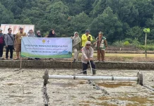 BRMP Kaltim Terapkan Sistem Pertanian Modern Tingkatkan Produksi Padi