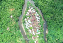 Mahakam Ulu Dukung Perlindungan Hutan Berkelanjutan