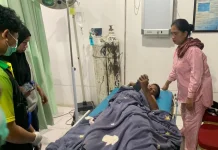 Seorang Anak Diserang Buaya di Dermaga Kenyamukan, Warga Diminta Waspada