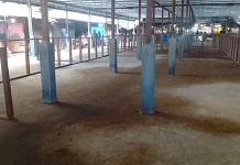 DPRD Samarinda Pastikan Kelayakan Bangunan sementara Pedagang Pasar Segiri