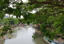 Halo RRI : Warga Soroti Kebersihan dan Keamanan Turap Sungai Mahakam