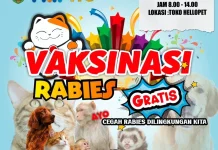 DKPP Samarinda Targetkan 2.000 Vaksin Rabies Hewan hingga Pertengahan 2026
