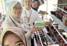 Produksi Telur Omega Loleng Perkuat Kemandirian Peternakan Kukar