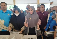 Turun Langsung ke tengah Keramaian, Bupati Berau Sapa Warga di Pasar Ikan Murah