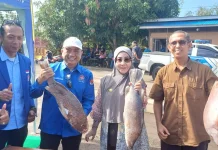 Pasar Ikan Murah Berau: 6,4 Ton Ikan Ludes dalam Dua Jam