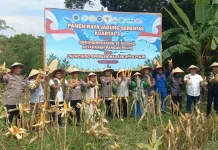 Polresta Balikpapan Gelar Panen Raya Jagung Dukung Swasembada Pangan