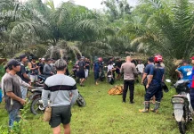 Korban Hilang di Aliran Sungai Kuaro Ditemukan dalam Keadaan Meninggal Dunia