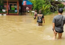 Banjir Luapan Sungai Mahakam Rendam Jalan Kampung di Long Iram dan Tering