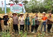 Kukar Sulap Lahan Bekas Tambang Jadi Sentra Pangan