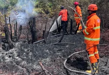 Karhutla Melanda Segah Berau, BPBD Kerahkan Fire Truck dan Water Supply