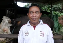 Penjualan Sapi di Kaltim Sepi, Ketua APPSI Borneo Mengaku Prihatin