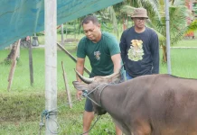 Lima Tips Memilih Hewan Kurban yang Sehat dan Sesuai Syariat