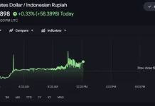 Nilai Tukar Dolar ke Rupiah Kian Melambung