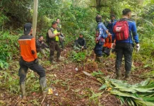 Penyisiran Besar-besaran di Hutan Sepaku, Korban Hilang Belum Ditemukan